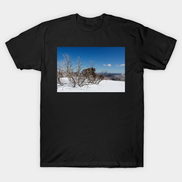 Snow on the mountainside 3 T-Shirt by jwwallace